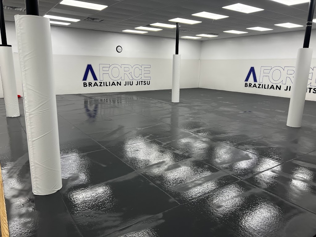 A-Force Brazilian Jiu Jitsu Academy Syosset | 235 Robbins Ln #2, Syosset, NY 11791 | Phone: (516) 344-7812