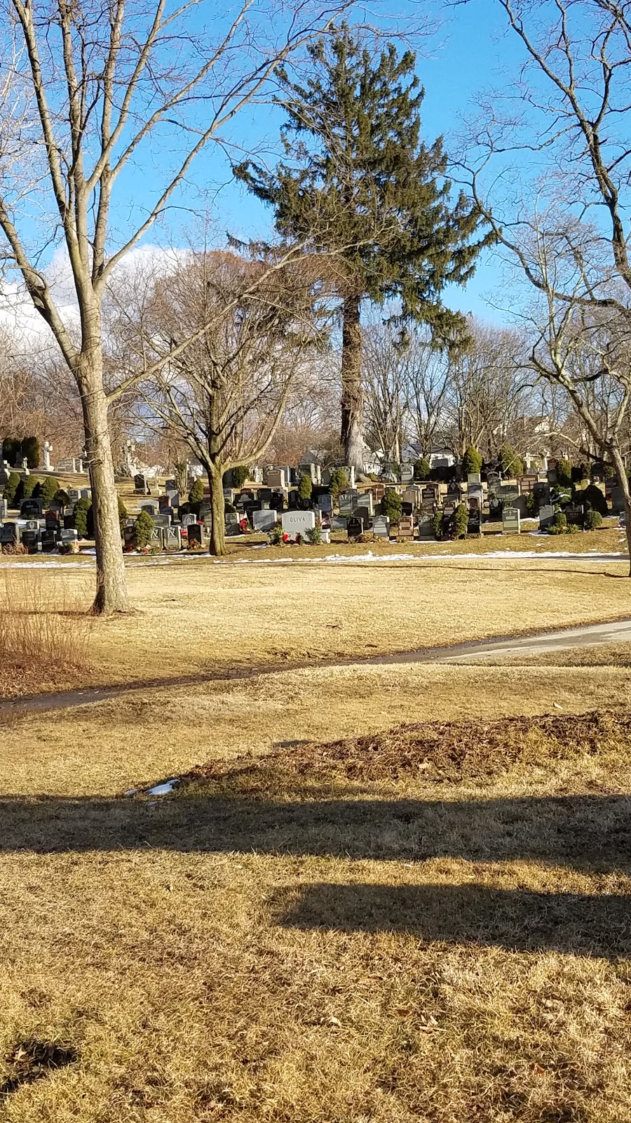 Mount Calvary Cemetery | 575 Hillside Ave, White Plains, NY 10603 | Phone: (914) 949-0671