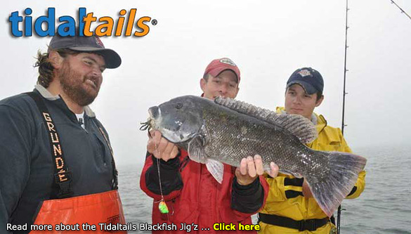 Tidaltails Lure & Tackle | NEXT TO DUDLEYS PARKVIEW, 94 Hudson Park Rd, New Rochelle, NY 10805 | Phone: (914) 235-4050