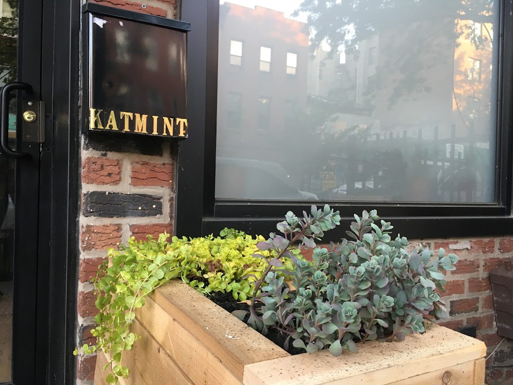 The Katmint Learning Initiative | 180 Malcolm X Blvd, Brooklyn, NY 11221 | Phone: (347) 453-6609