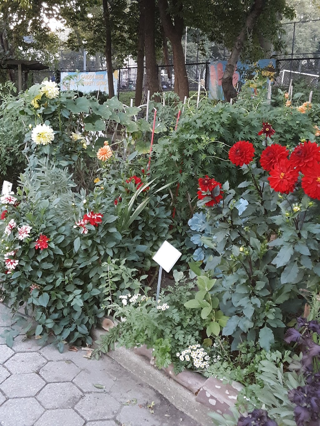 Highland Park Community Garden | 398 Jamaica Ave, Brooklyn, NY 11207 | Phone: (718) 235-4100