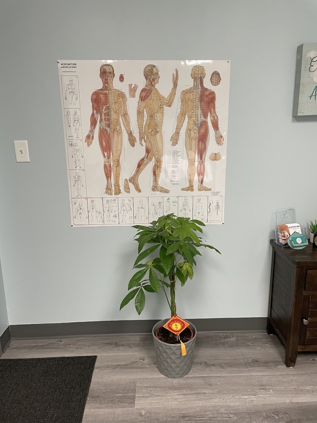 JD Acupuncture | 200 Boundary Ave SUITE 201, Massapequa, NY 11758 | Phone: (516) 540-9622