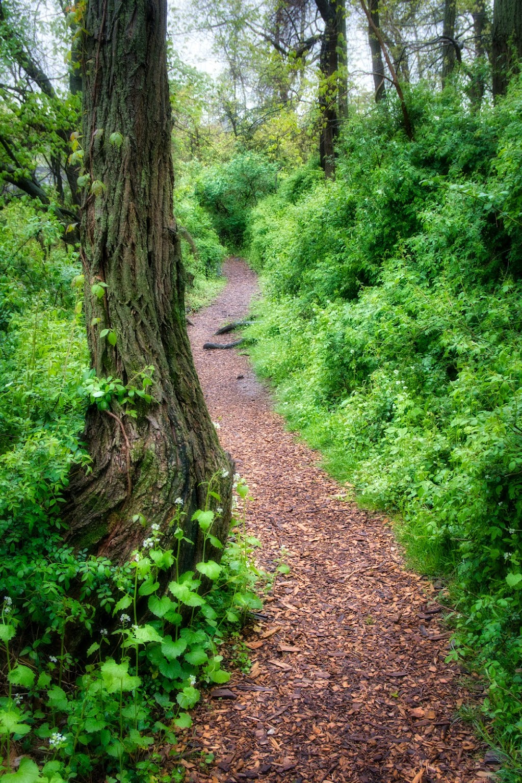 Sheldrake Environmental Center | 685 Weaver St, Larchmont, NY 10538 | Phone: (914) 834-1443