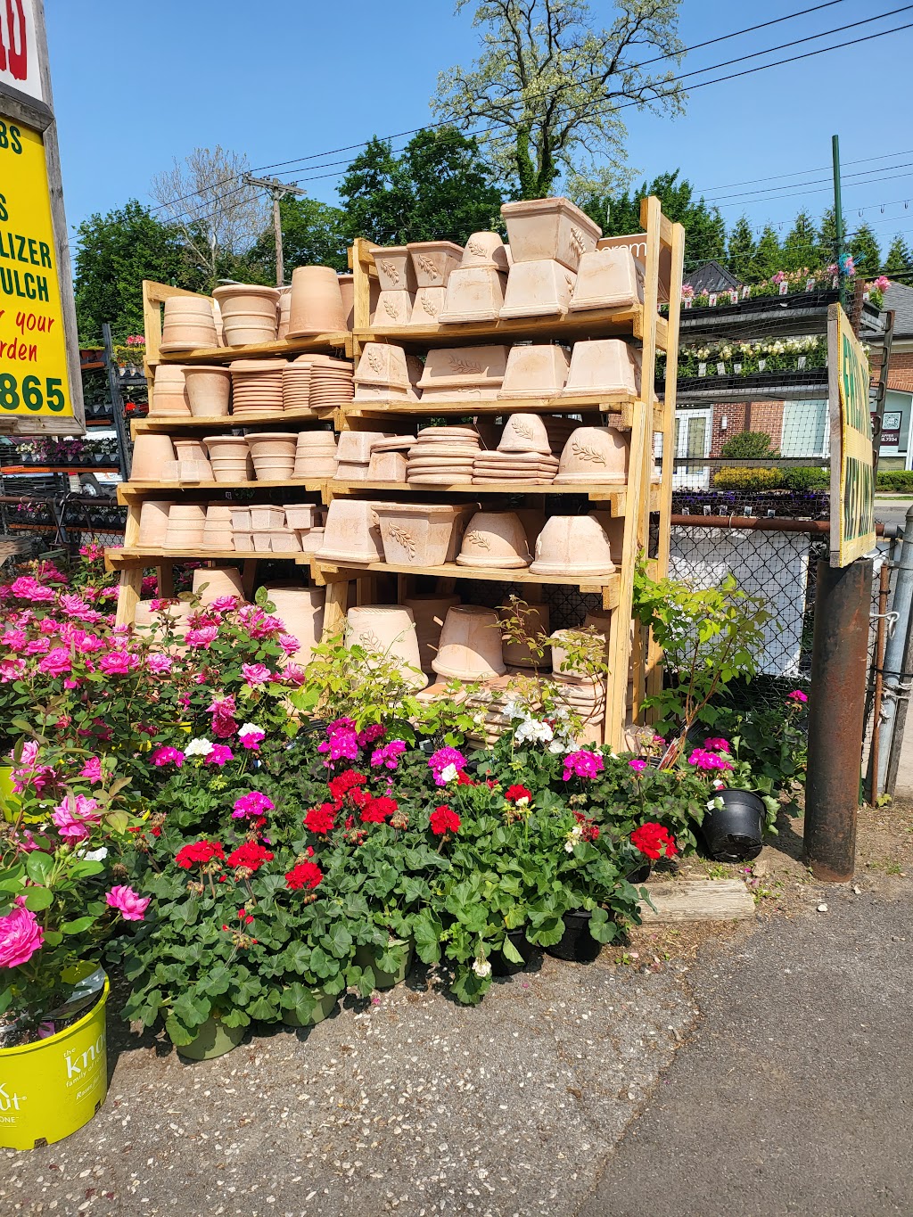 Mangone’s Garden Center | 1427 E Boston Post Rd, Mamaroneck, NY 10543 | Phone: (914) 777-1800