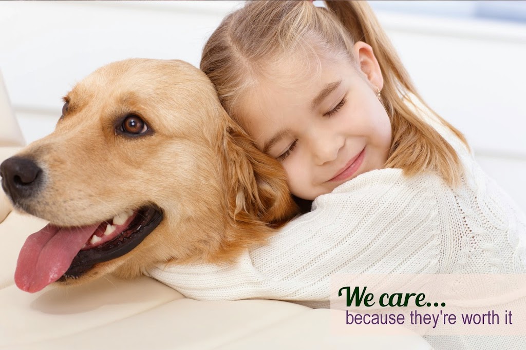 For Pets Only | 185A South St, Oyster Bay, NY 11771 | Phone: (516) 922-1526