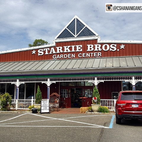 Starkie Bros Garden Center | 721 Main St, Farmingdale, NY 11735 | Phone: (516) 293-7148