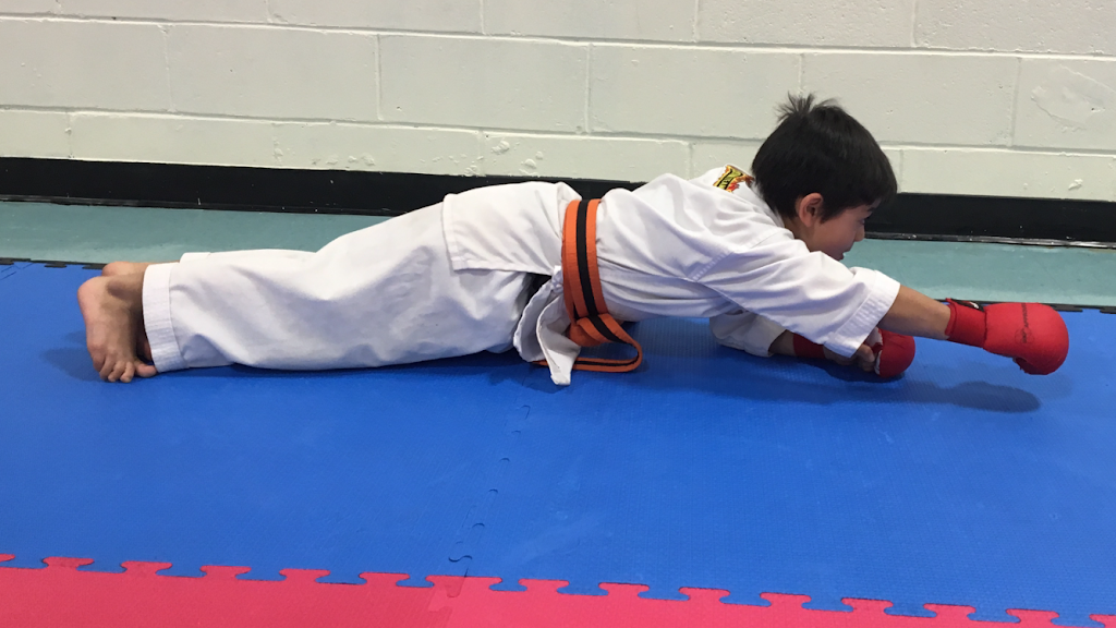 Tokey Hill Martial Arts | 95 Seaview Blvd, Port Washington, NY 11050 | Phone: (516) 625-9695