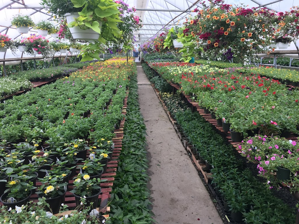 Gedney Farms Nursery | 870 Mamaroneck Ave, White Plains, NY 10605 | Phone: (914) 949-4100