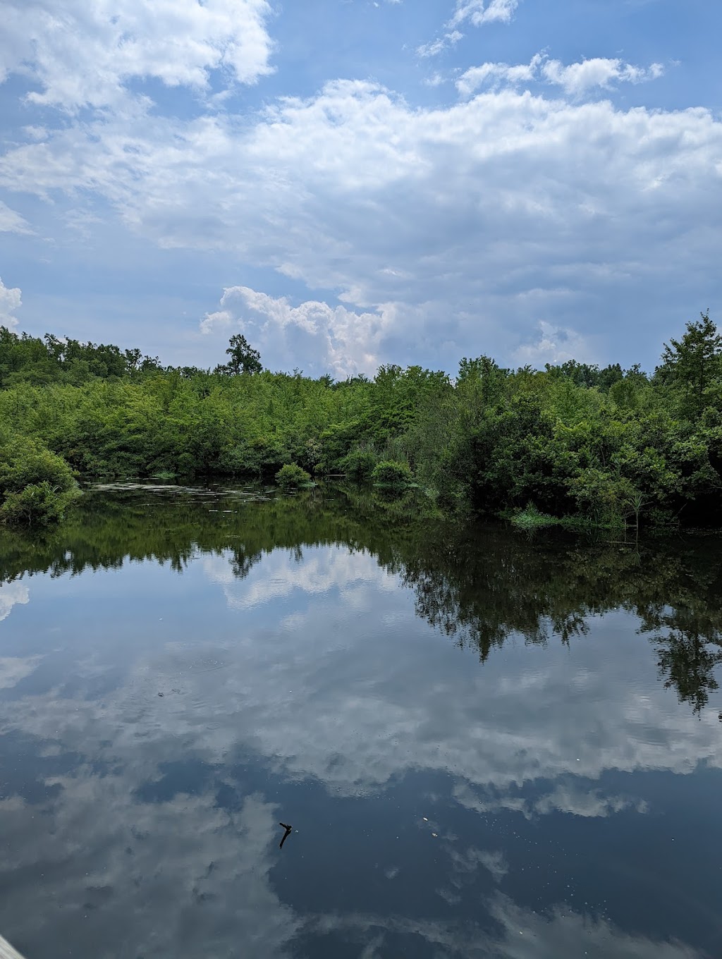 Shu Swamp Nature Preserve | 28 Frost Mill Rd, Mill Neck, NY 11765 | Phone: (516) 671-0283