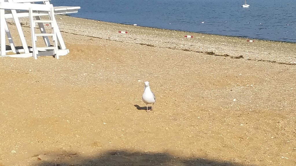 West Harbor Beach Memorial Park - Village Of Bayville | 10 W Harbor Dr, Bayville, NY 11709 | Phone: (516) 628-1439