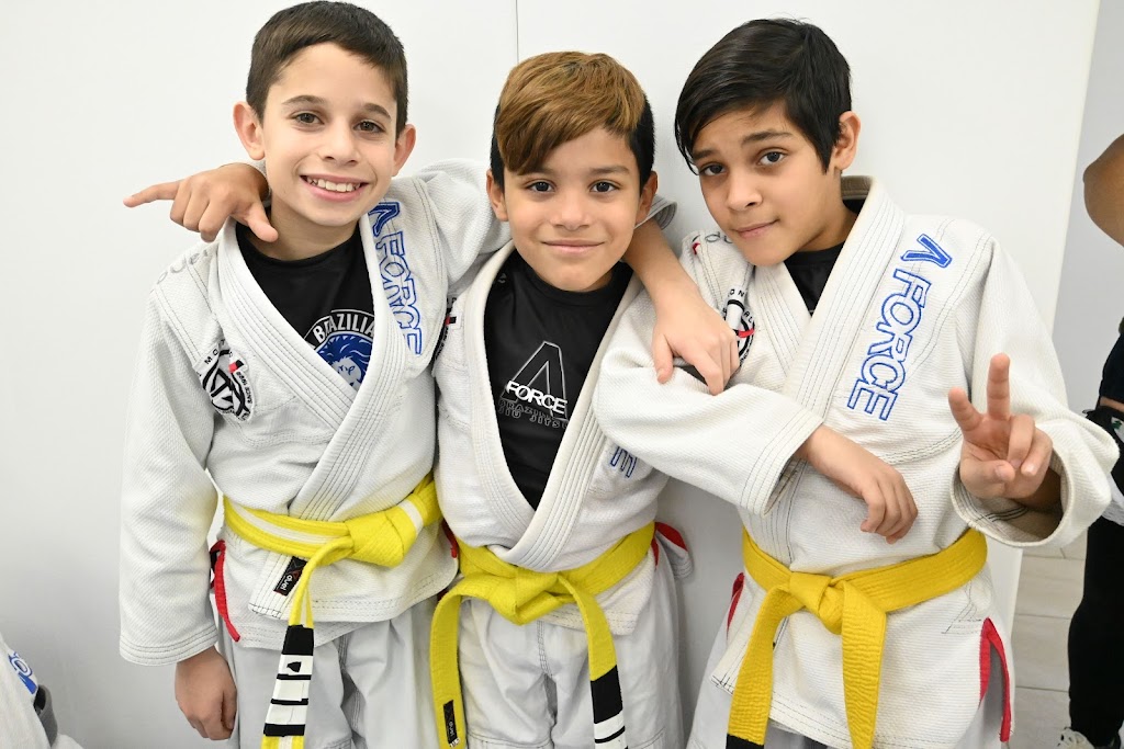 A-Force Brazilian Jiu Jitsu Academy Manhasset | 81 E Shore Rd, Manhasset, NY 11030 | Phone: (516) 344-7812