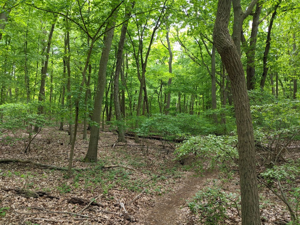 Jerome A. Ambro Memorial Wetland Preserve | Fort Salonga, NY 11768 | Phone: (631) 351-3000