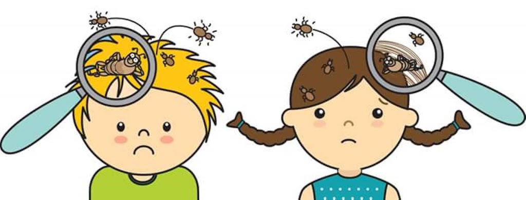 Bergen Lice Removal | 180 Old Tappan Road Bldg 5, 2nd Floor, Suite 1, Old Tappan, NJ 07675 | Phone: (201) 675-0495