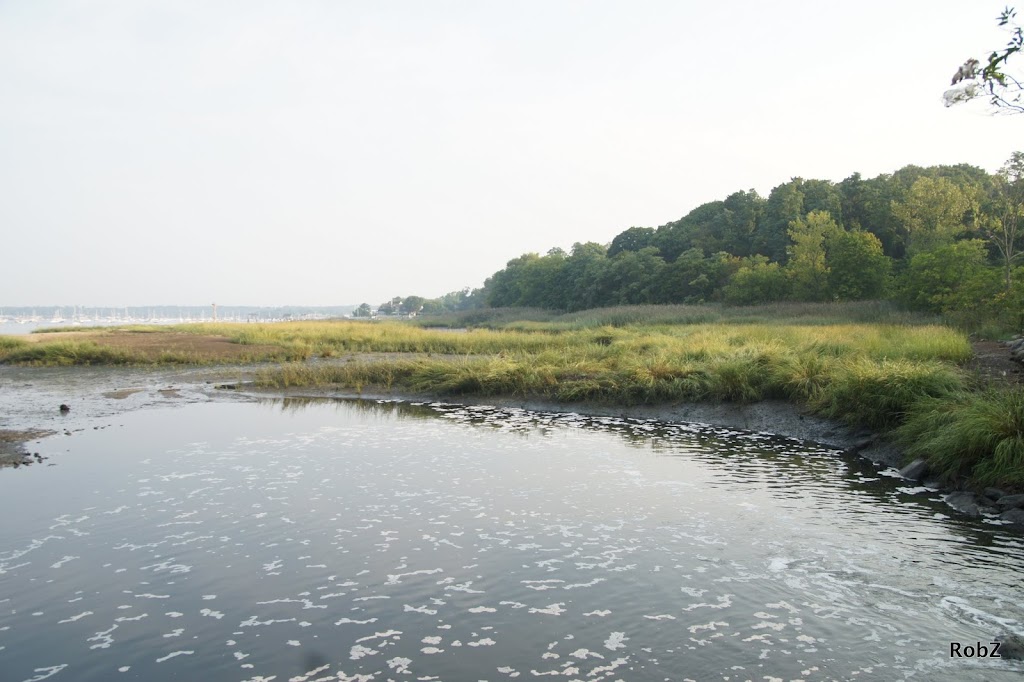 Leeds Pond Preserve | Port Washington, NY 11050 | Phone: (516) 627-9400