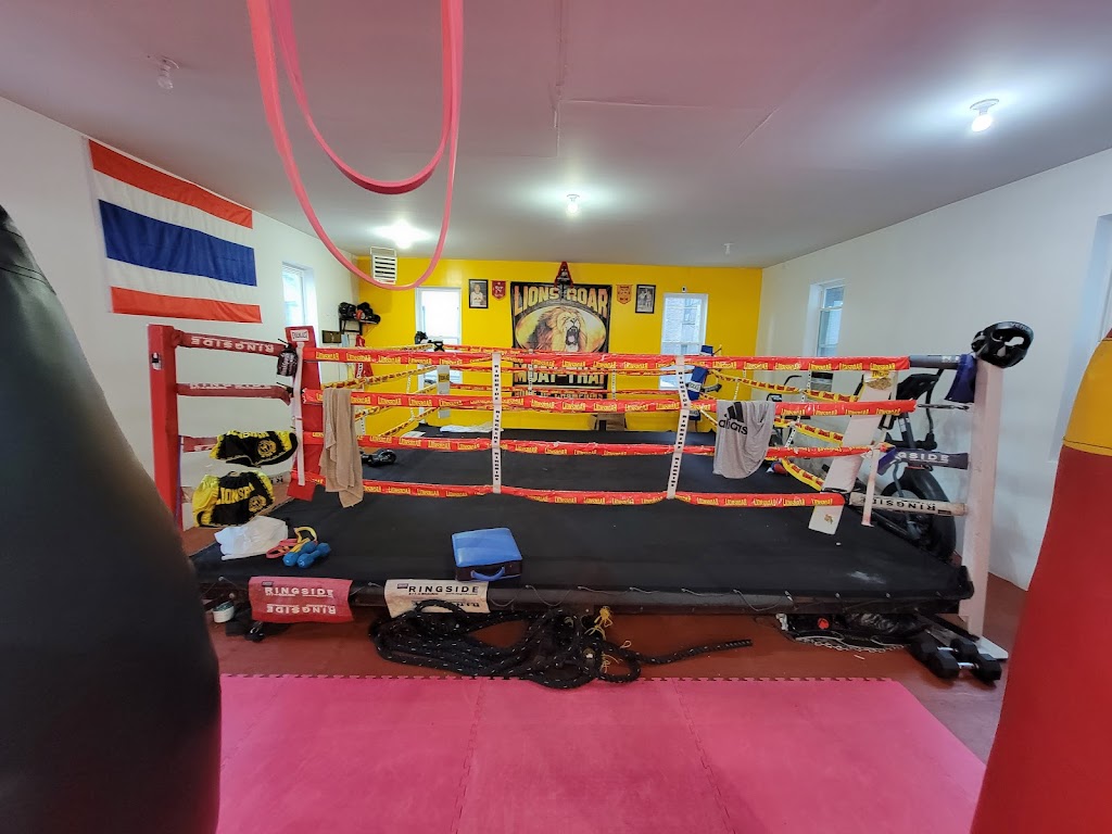 Lions Roar Boxing Gym | 2832 Valentine Ave, Bronx, NY 10458 | Phone: (347) 928-1764