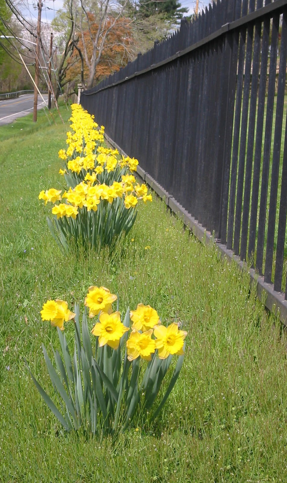 Mount Hope Cemetery | 50 Jackson Ave, Saw Mill River Rd, Hastings-On-Hudson, NY 10706 | Phone: (914) 478-1855