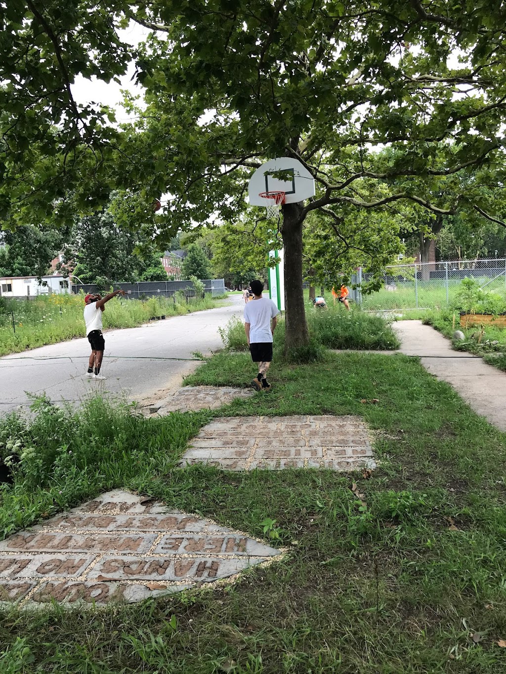 Swale Food Forest on Governors Island | 652 Craig Rd S, New York, NY 10004 | Phone: (718) 674-4872