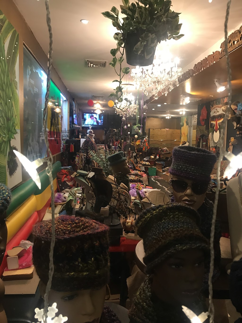 Tafari Tribe | 591 Flatbush Ave, Brooklyn, NY 11225 | Phone: (347) 529-1697