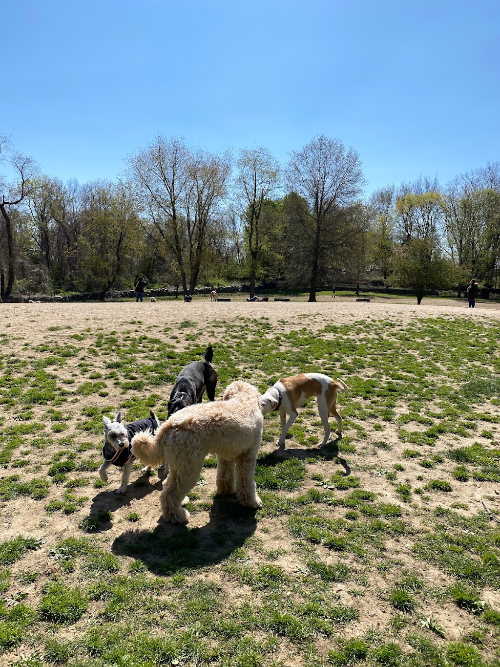 Paws Place Dog Park | 300 Broadfield Rd, New Rochelle, NY 10804 | Phone: (914) 654-2087