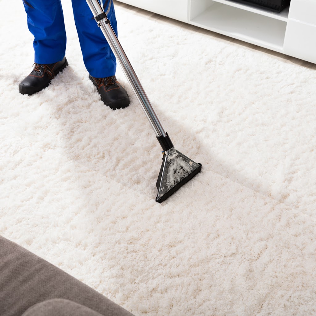 Organic Rug & Carpet Cleaning | 907 Carol Ave, Woodmere, NY 11598 | Phone: (516) 403-2157