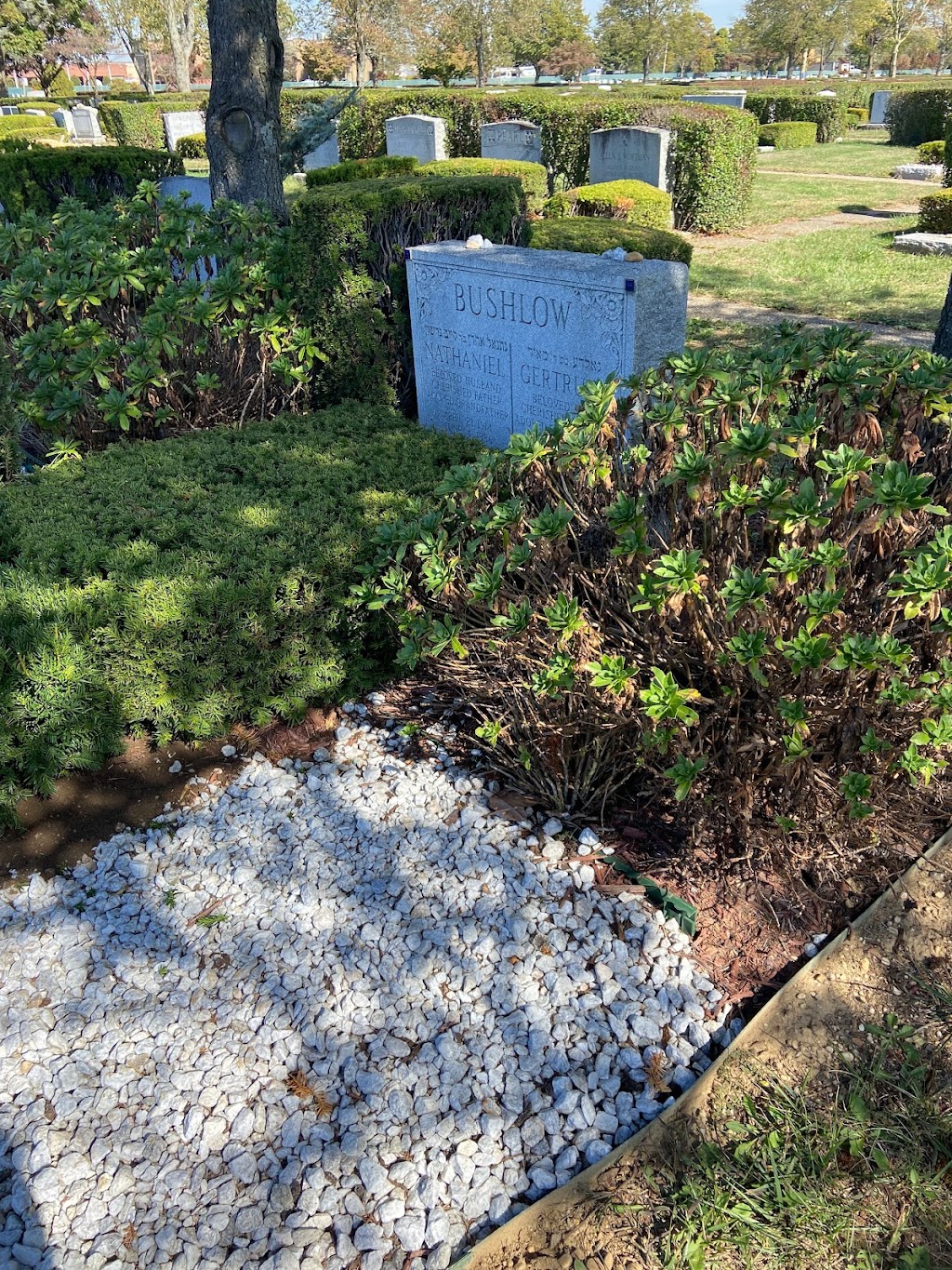 New Montefiore Cemetery | 1180 Wellwood Ave, West Babylon, NY 11704 | Phone: (631) 249-7000