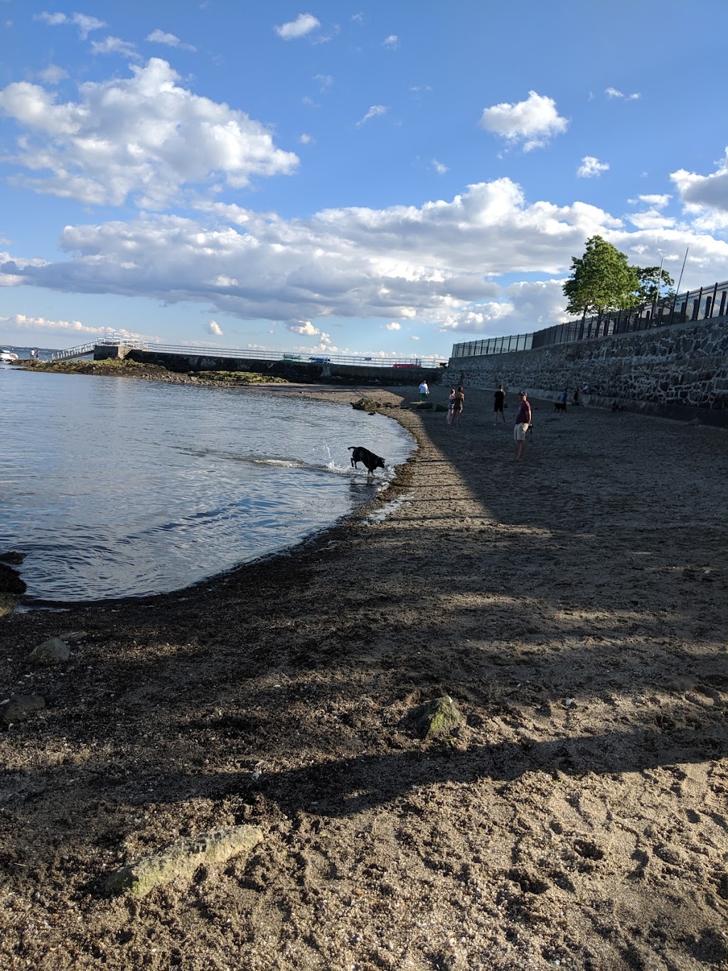 Larchmont Dog Beach | 118 Park Ave, Larchmont, NY 10538 | Phone: (914) 834-6230