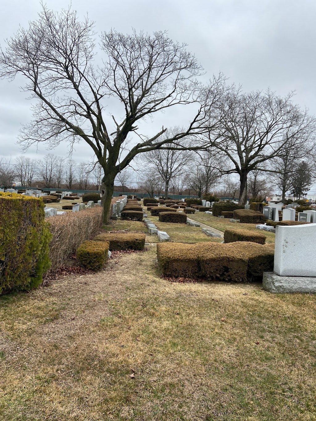 New Montefiore Cemetery | 1180 Wellwood Ave, West Babylon, NY 11704 | Phone: (631) 249-7000