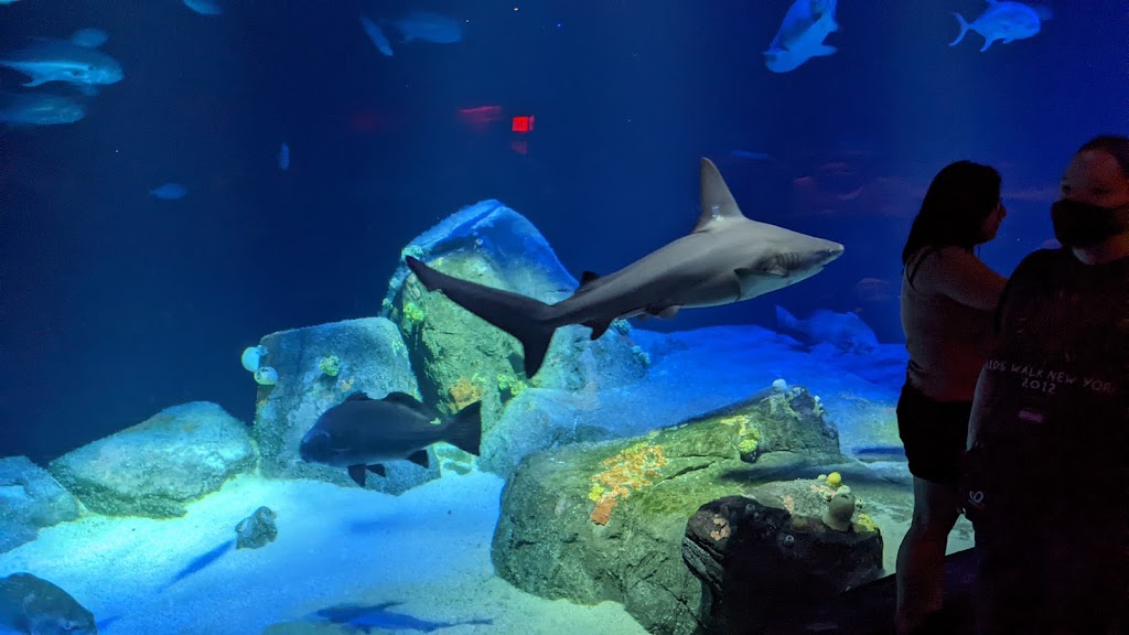 New York Aquarium | 602 Surf Ave, Brooklyn, NY 11224 | Phone: (718) 265-3474