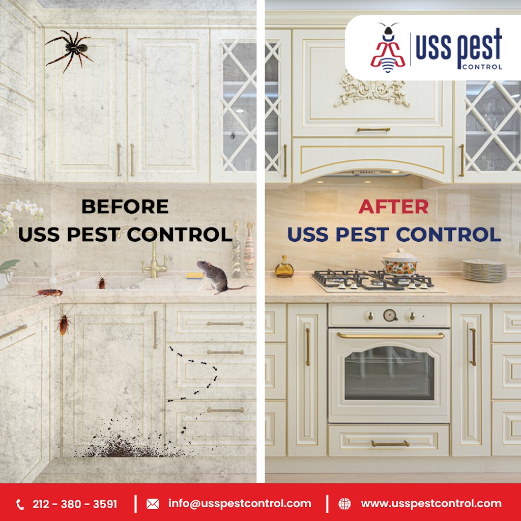 USS Pest Control Inc | 1570 Rosser Ave, Elmont, NY 11003 | Phone: (212) 380-3591