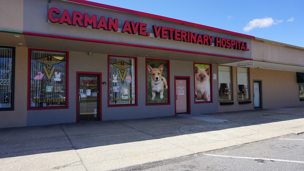 Carman Avenue Veterinary Hospital | 837 Carman Ave, Westbury, NY 11590 | Phone: (516) 333-6868