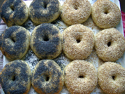 National Bagel Association | 425 N Broadway, Jericho, NY 11753 | Phone: (607) 542-9365