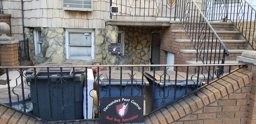 Affordable NYC Exterminators | 552 Fairview Ave, Queens, NY 11385 | Phone: (347) 594-3923