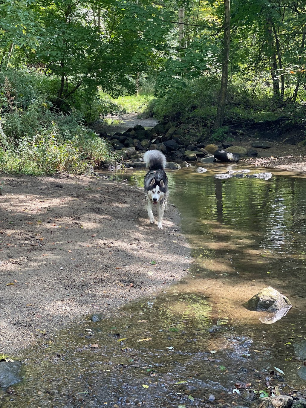 Rumbrook Park East Dog Park | 850 Dobbs Ferry Rd, White Plains, NY 10607 | Phone: (914) 693-8985