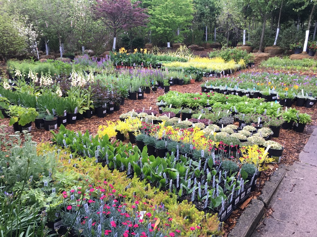 Gedney Farms Nursery | 870 Mamaroneck Ave, White Plains, NY 10605 | Phone: (914) 949-4100