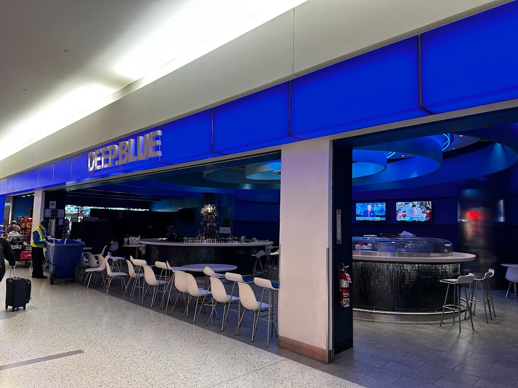 Deep Blue on the Fly | Terminal 5, Jamaica, NY 11430 | Phone: (866) 508-3558