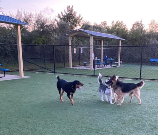 Town of Hempstead Dog Park | 2858 Shore Rd, Bellmore, NY 11710 | Phone: (516) 489-5000