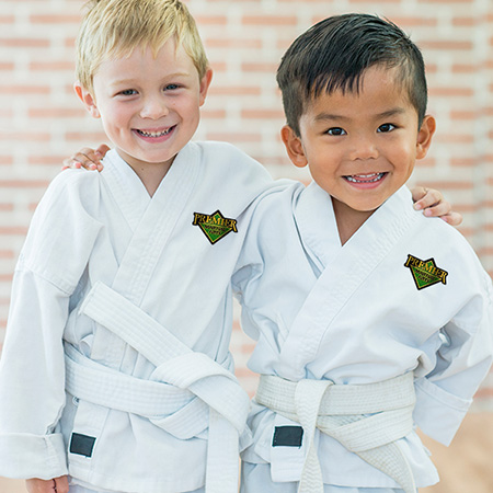 Premier Martial Arts Scarsdale | 1469 Weaver St, Scarsdale, NY 10583 | Phone: (914) 877-2434