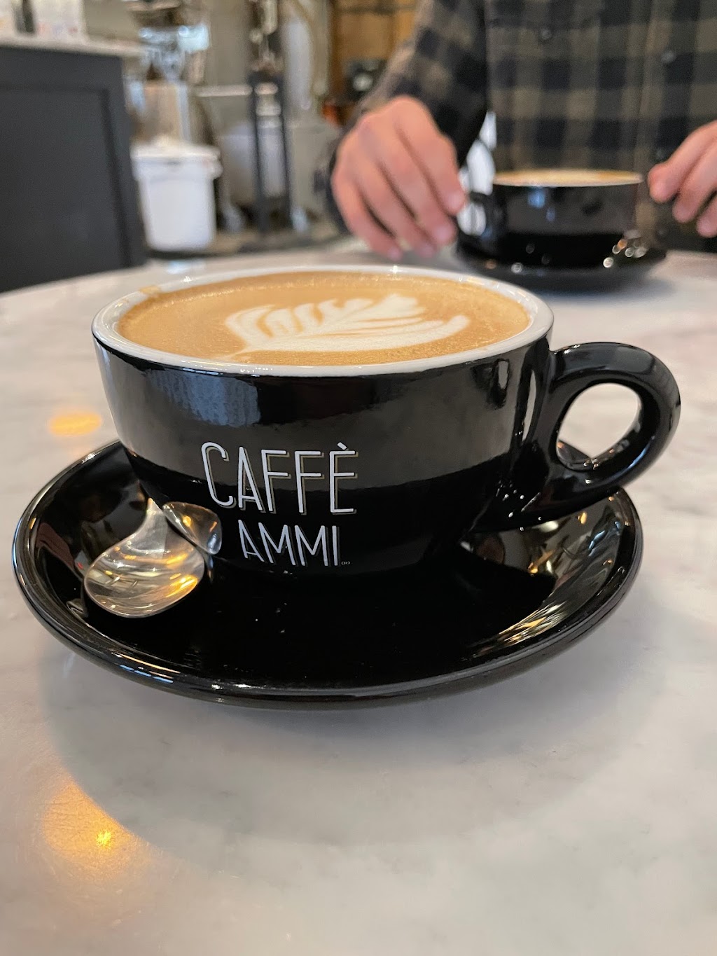 Caffè Ammi Roasting Co. | 109 6th St, Village of Pelham, NY 10803 | Phone: (914) 738-2511