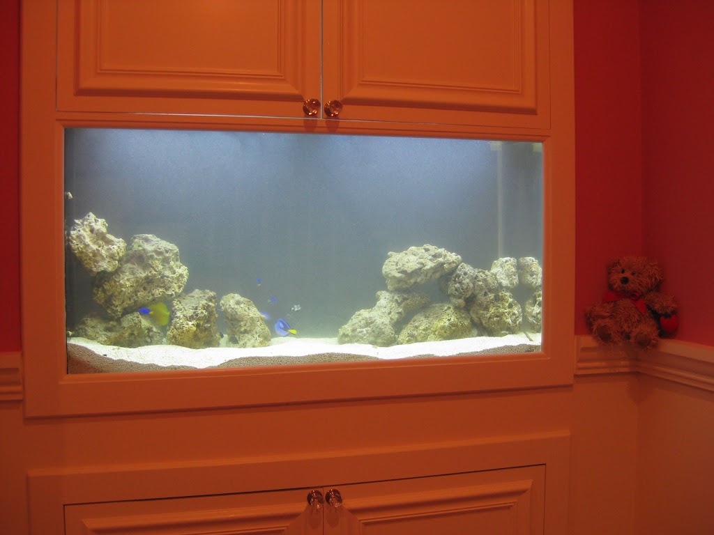 Aquarius Aquariums | 214 Riverside Dr #511, New York, NY 10025 | Phone: (212) 749-4970