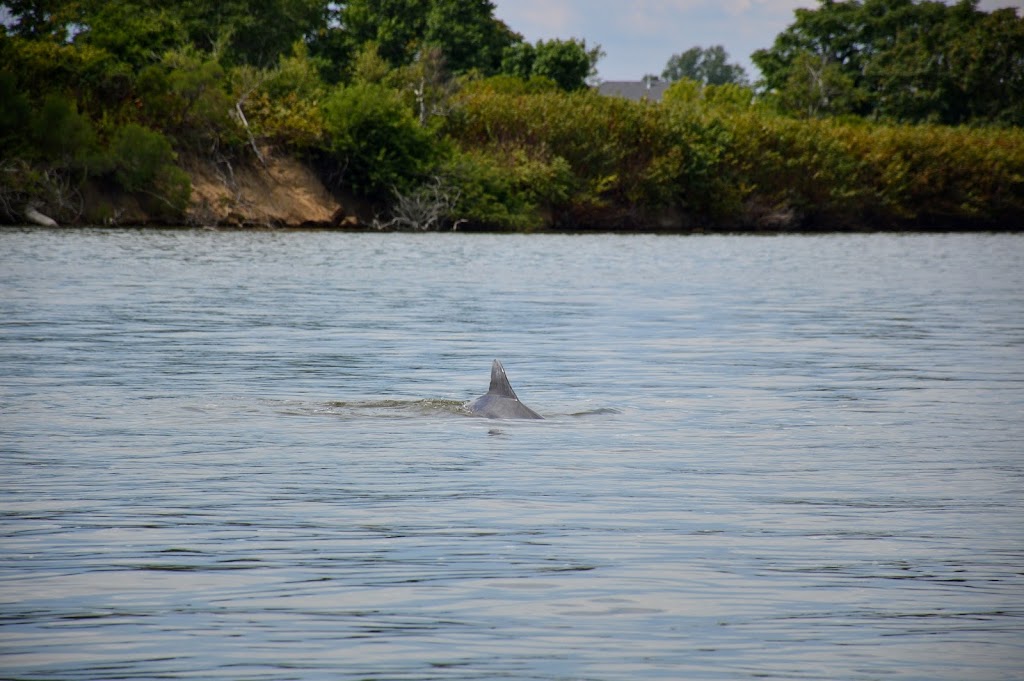 Salty Dog Watersport Charters | 1 Atlantic St, Highlands, NJ 07732 | Phone: (732) 614-9813