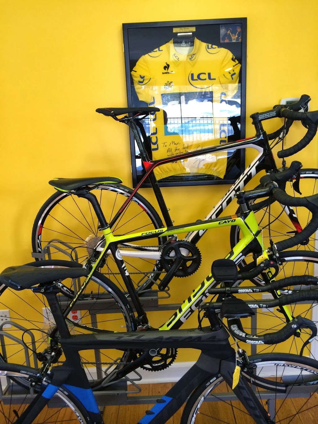 Yellow Jersey Cycle | 34 Pemberwick Rd Rear, Greenwich, CT 06831 | Phone: (914) 263-3352