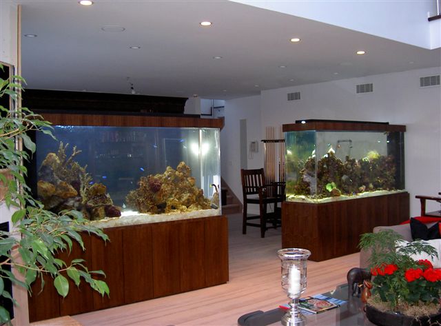 Aquarius Aquariums | 214 Riverside Dr #511, New York, NY 10025 | Phone: (212) 749-4970