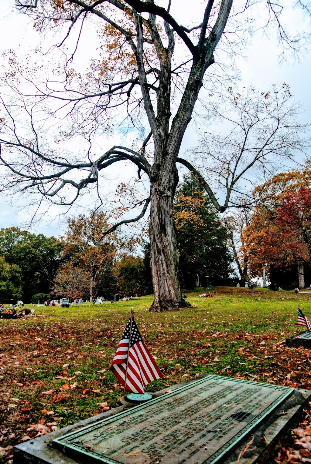 White Plains Rural Cemetery | 167 N Broadway, White Plains, NY 10603 | Phone: (914) 949-0072