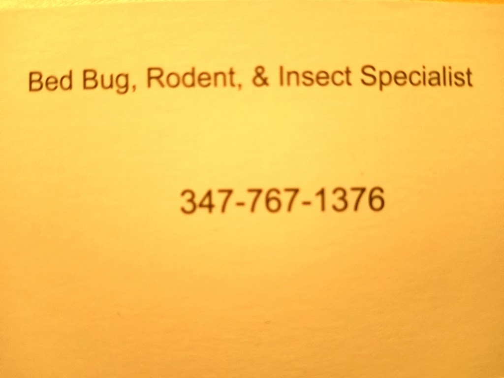 That Bug | 14572 220th St, Queens, NY 11413 | Phone: (347) 767-1376