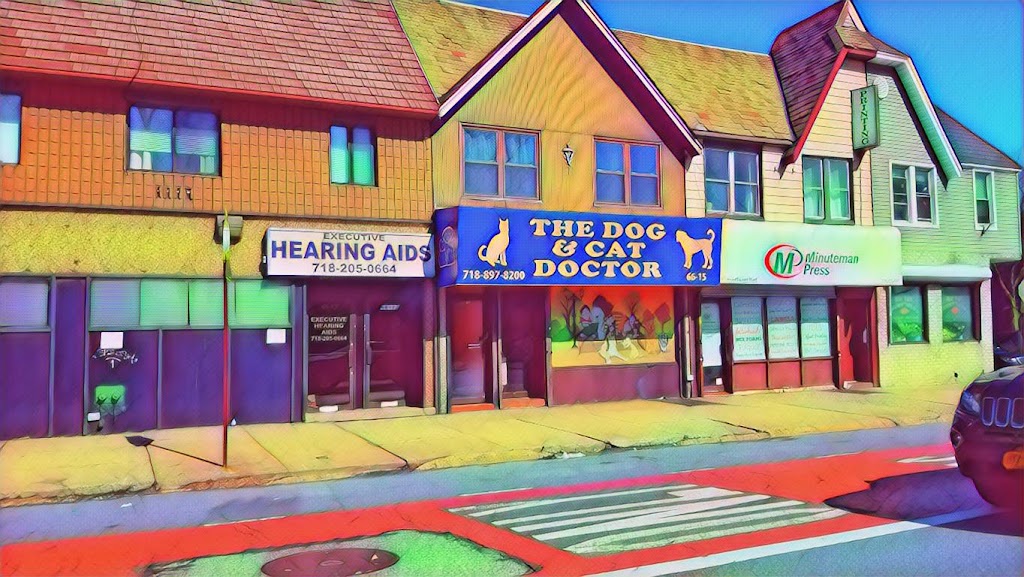 The Dog & Cat Doctor | 66-15 Woodhaven Blvd, Rego Park, NY 11374 | Phone: (718) 897-8200