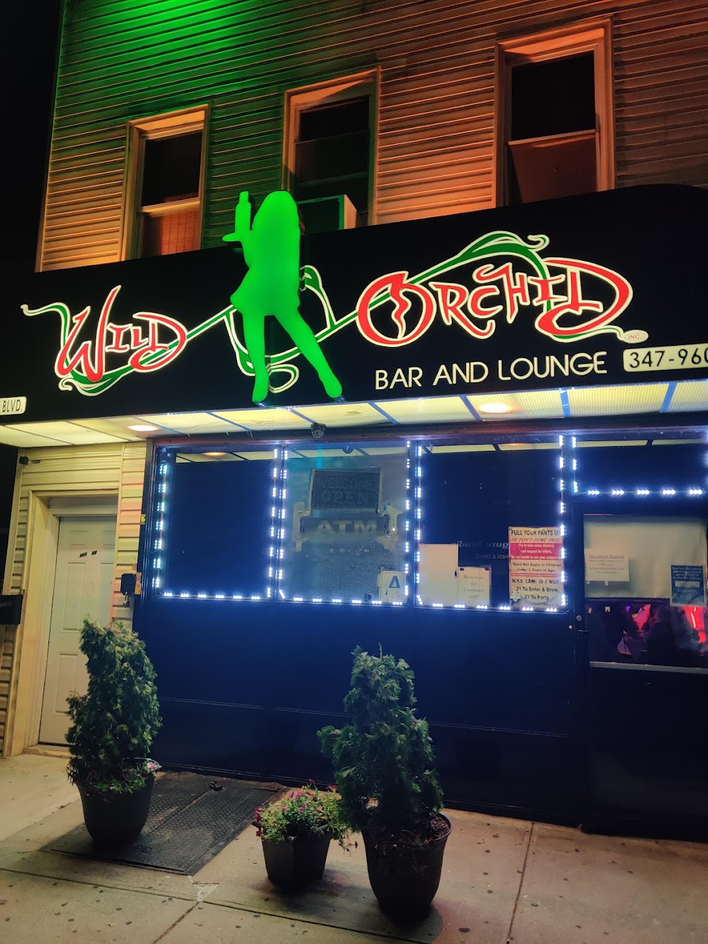 Wild Orchid | 111-48 Lefferts Blvd, Queens, NY 11420 | Phone: (917) 971-8275