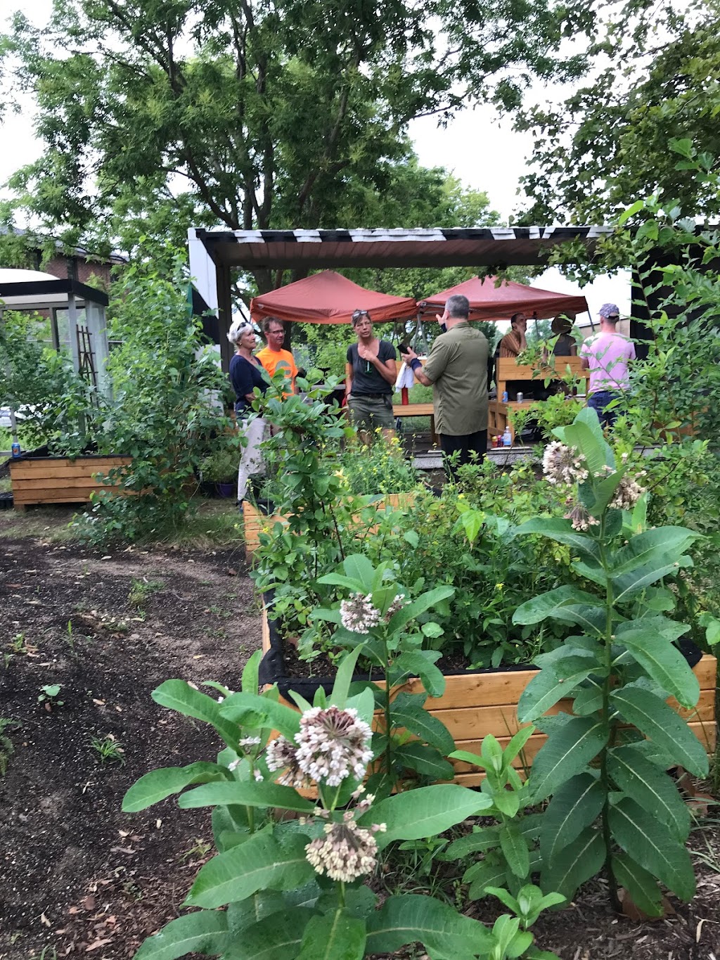 Swale Food Forest on Governors Island | 652 Craig Rd S, New York, NY 10004 | Phone: (718) 674-4872