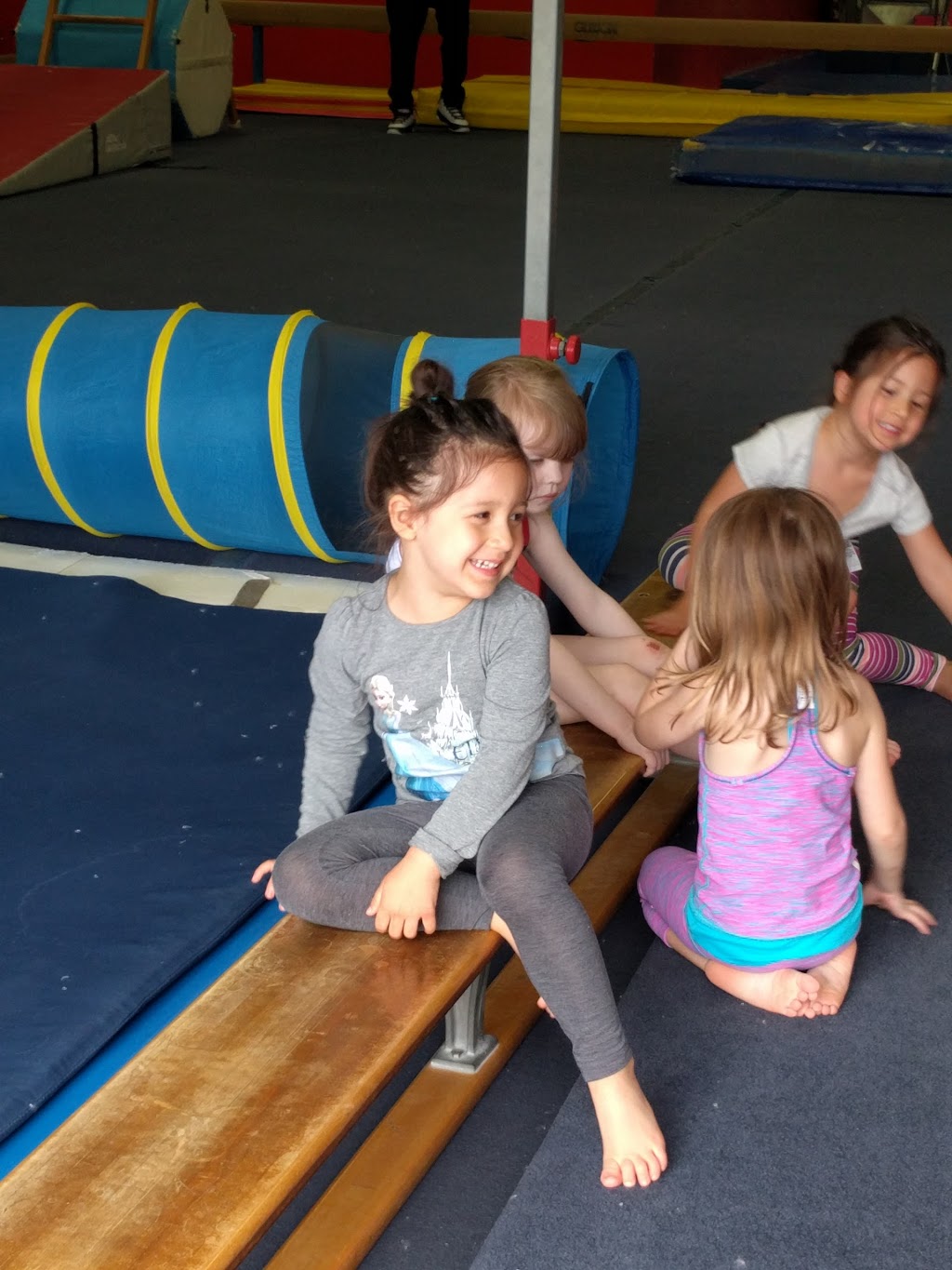 Galaxy Gymnastics of Rockland | 17 Greenbush Rd # A, Orangeburg, NY 10962 | Phone: (845) 398-1000