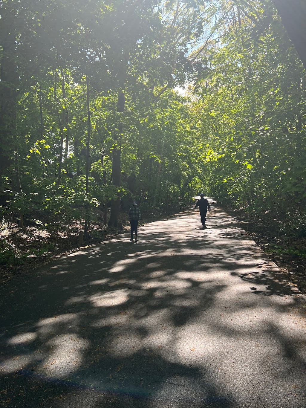 Wild Flower Meadow Playground | Alley Pond Park, Queens, NY 11364 | Phone: (212) 639-9675