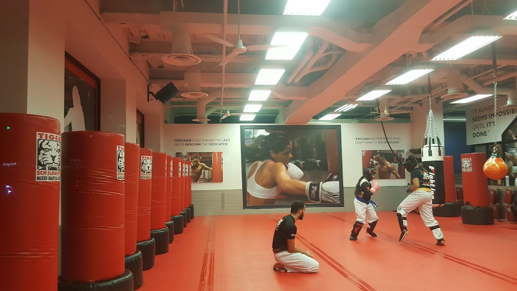 Tiger Schulmanns Martial Arts (Greenpoint, NY) | 211 McGuinness Blvd, Brooklyn, NY 11222 | Phone: (718) 301-0962